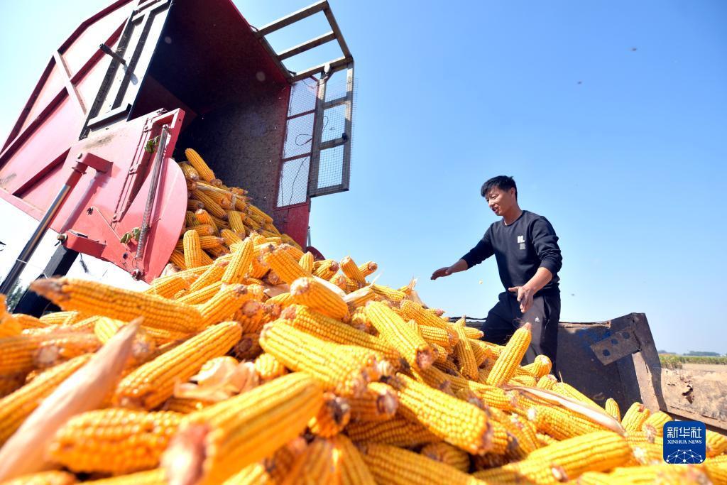 云项娱乐1.60